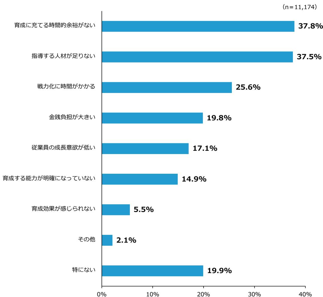 Horizontal bar chart showing the percentage of respondents for various issues related to personnel development. The x-axis represents percentages from 0% to 40%.